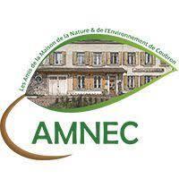 logo amnec