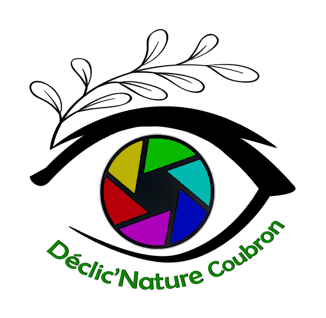 logo declicnature